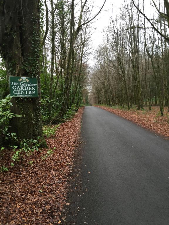 Leitrim Inn Carrick on Shannon エクステリア 写真